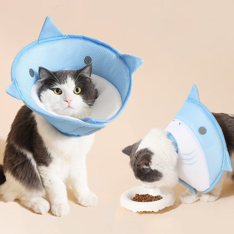Soft Recovery Collar – Eat & Heal Comfortably