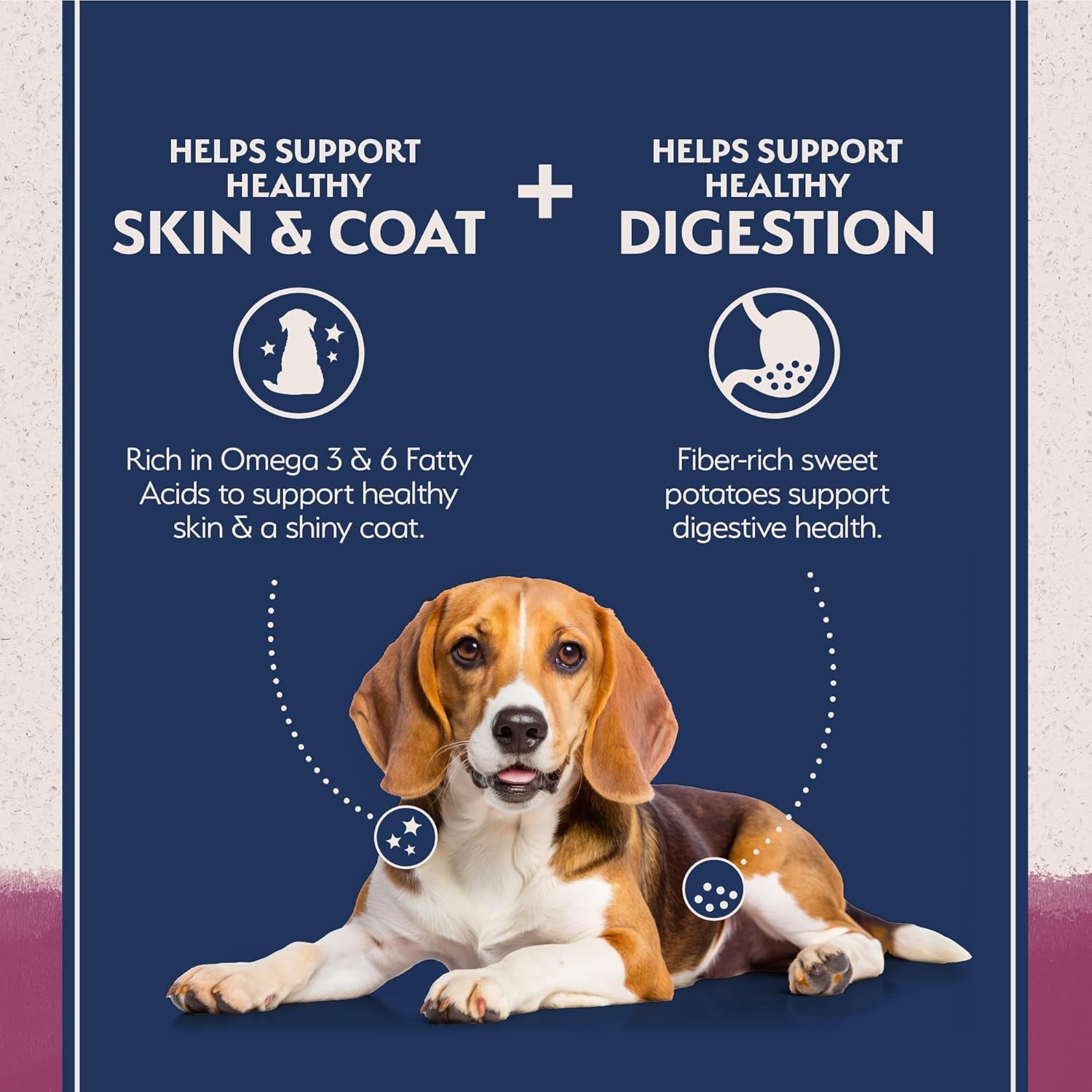 Natural Balance Sweet Potato & Venison Dry Dog Food – 4 lb