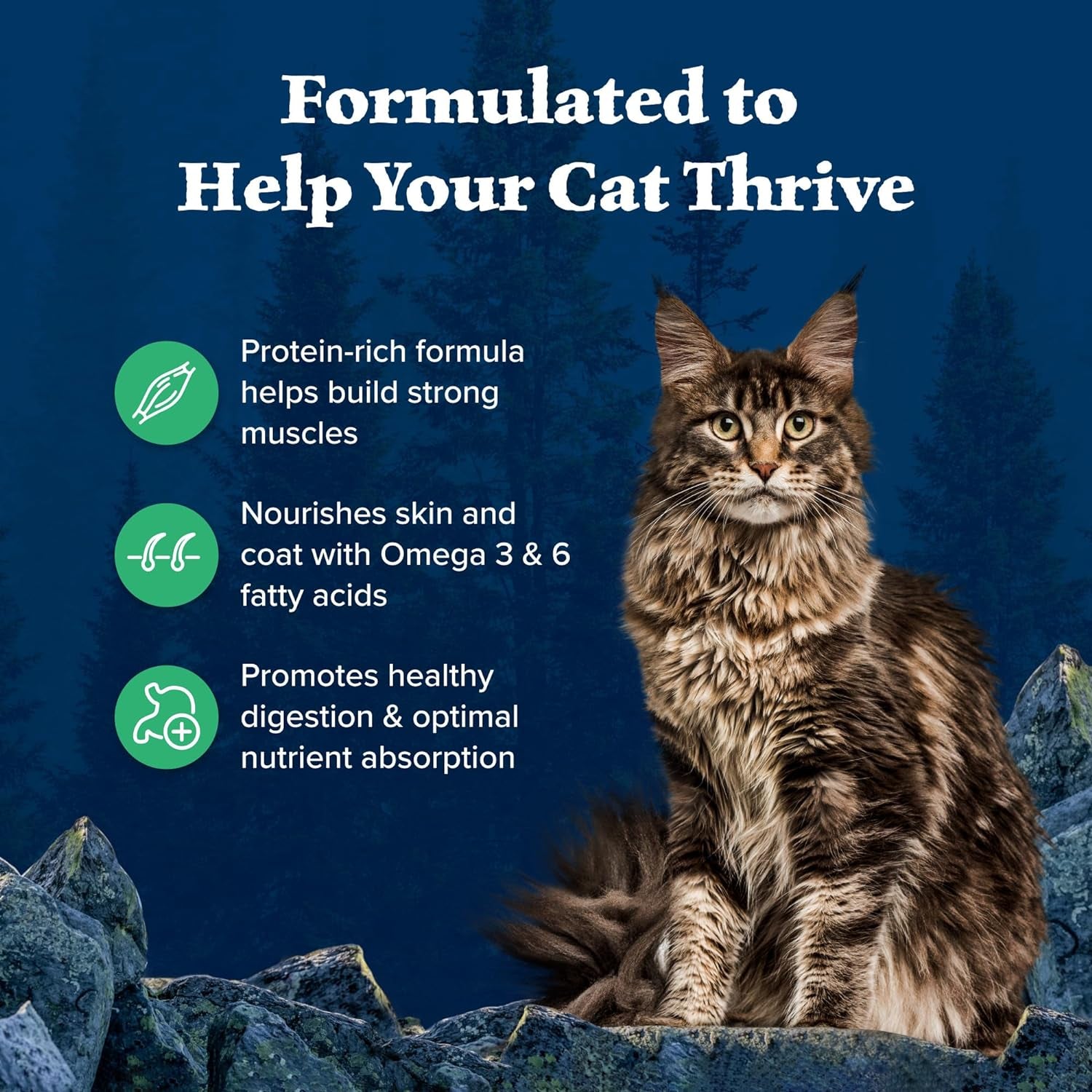 Blue Buffalo Wilderness Natural Duck Dry Cat Food - 11 lb