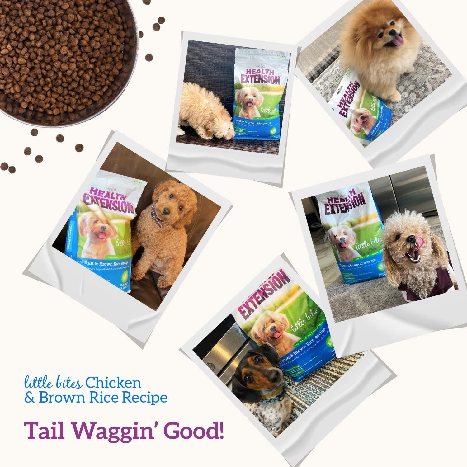 Little Bites Chicken & Brown Rice Dog Food – 10 lb