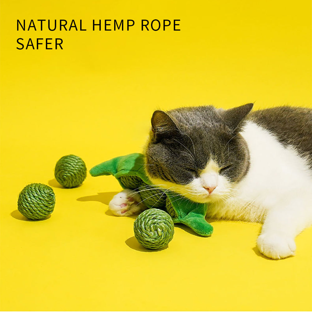 3 in 1 Cat Ball Toy Set – Sisal, Crinkle & Pea Pod