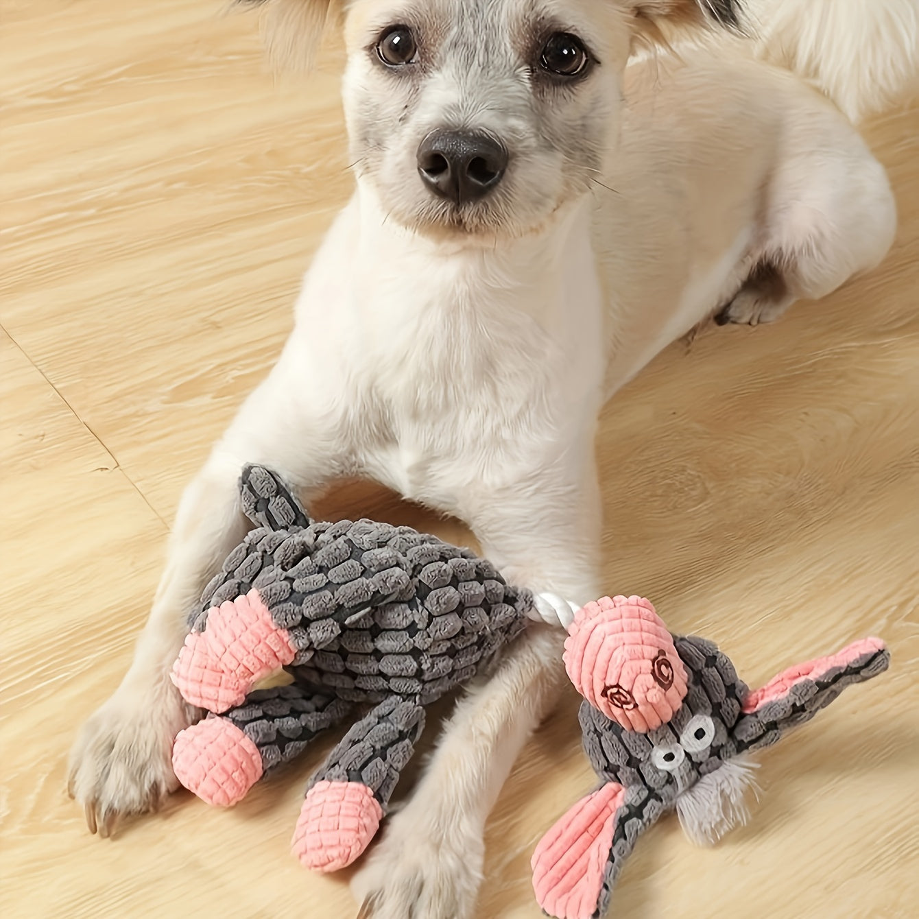 Puppy Plush Squeaky Toys Set