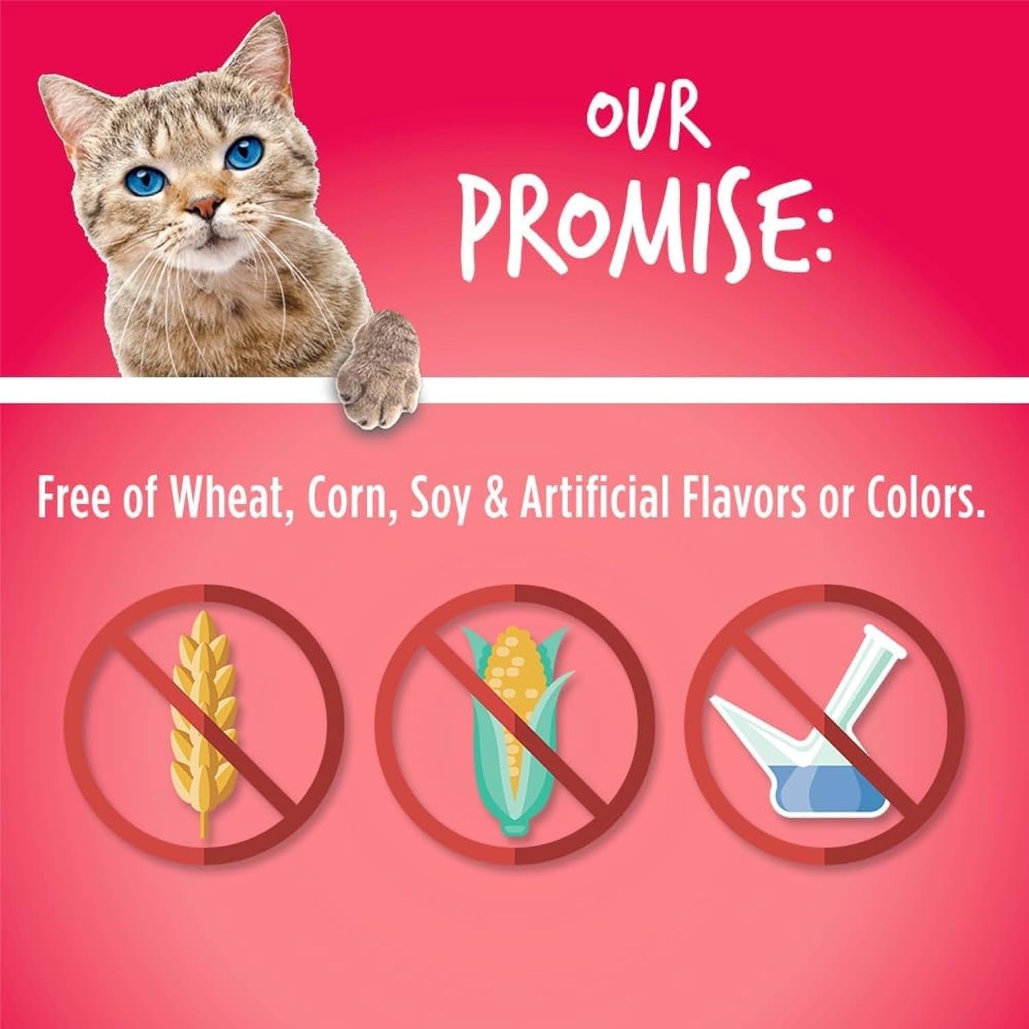 Fruitables Helathy Crunchy Salmon & Cranberry Cat Treats – 2.5 oz