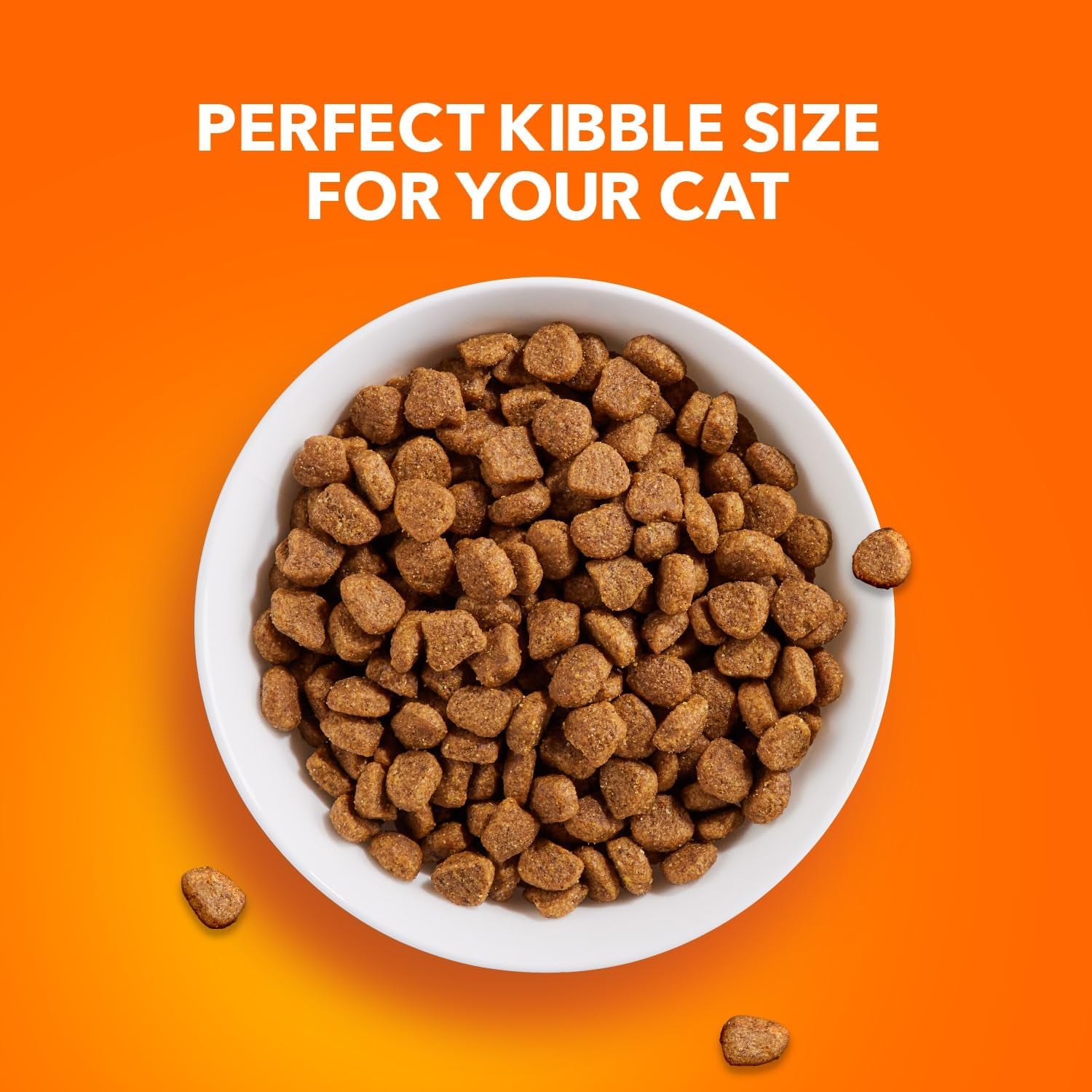 Chicken Adult Dry Cat Food – 22 lb