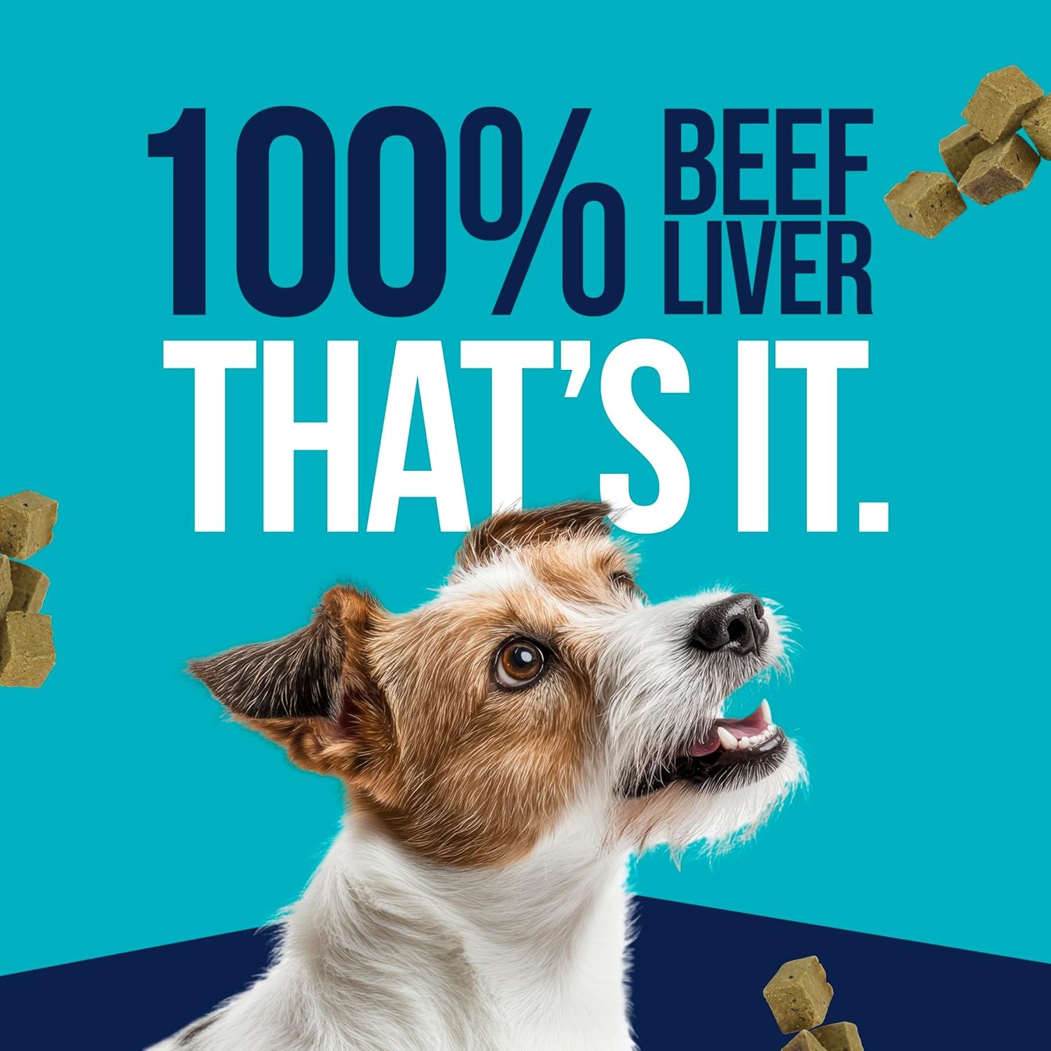 Freeze-Dried Beef Liver Treats – 14 oz