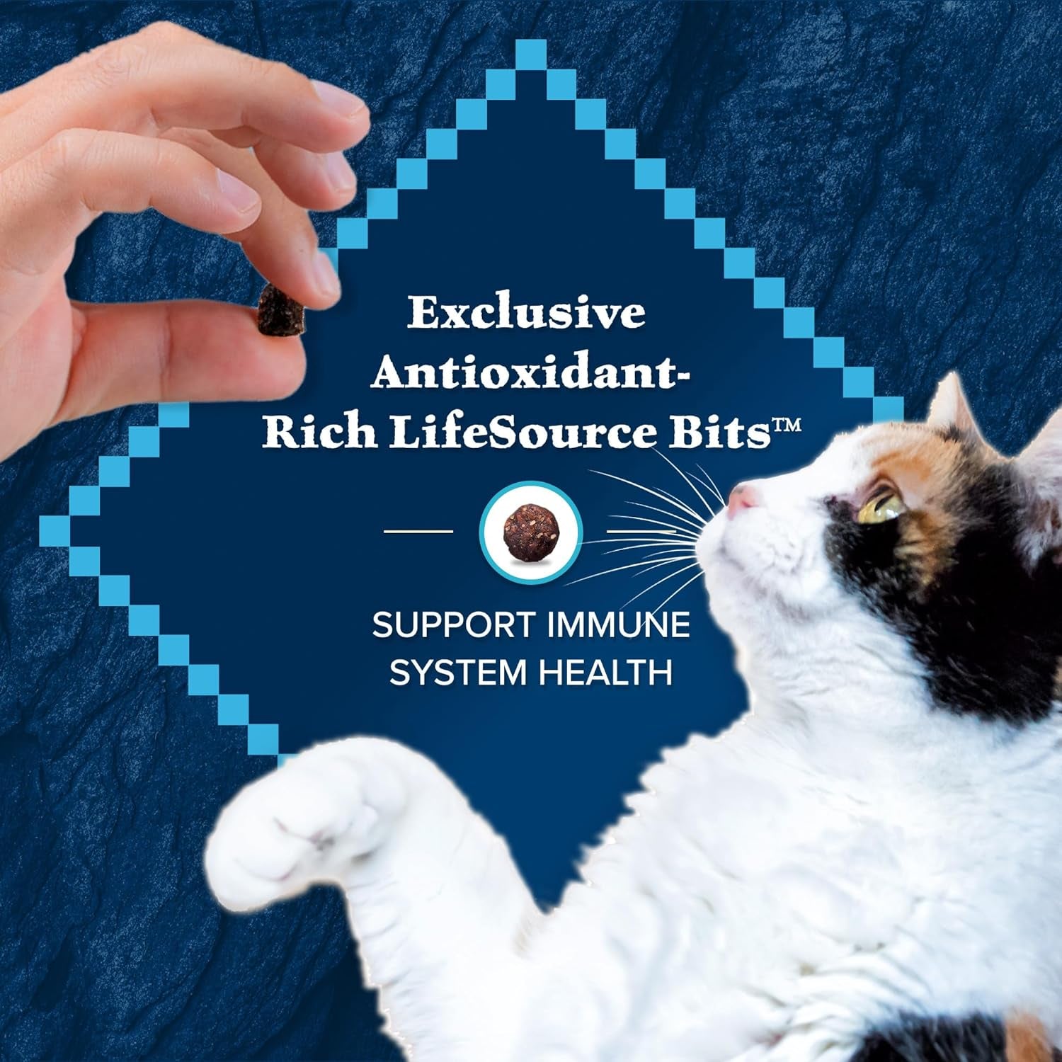 Blue Buffalo Wilderness Natural Duck Dry Cat Food - 11 lb