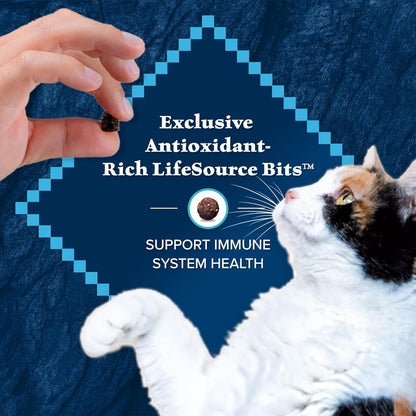 Blue Buffalo Wilderness Natural Duck Dry Cat Food - 11 lb