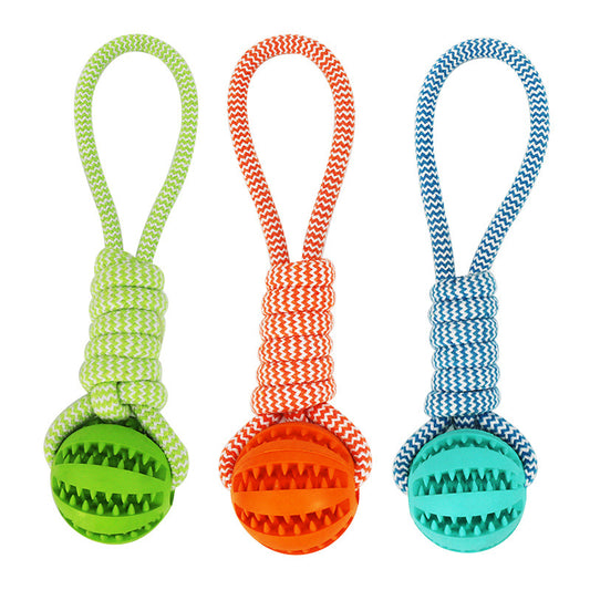 Treat Ball & Chew Rope