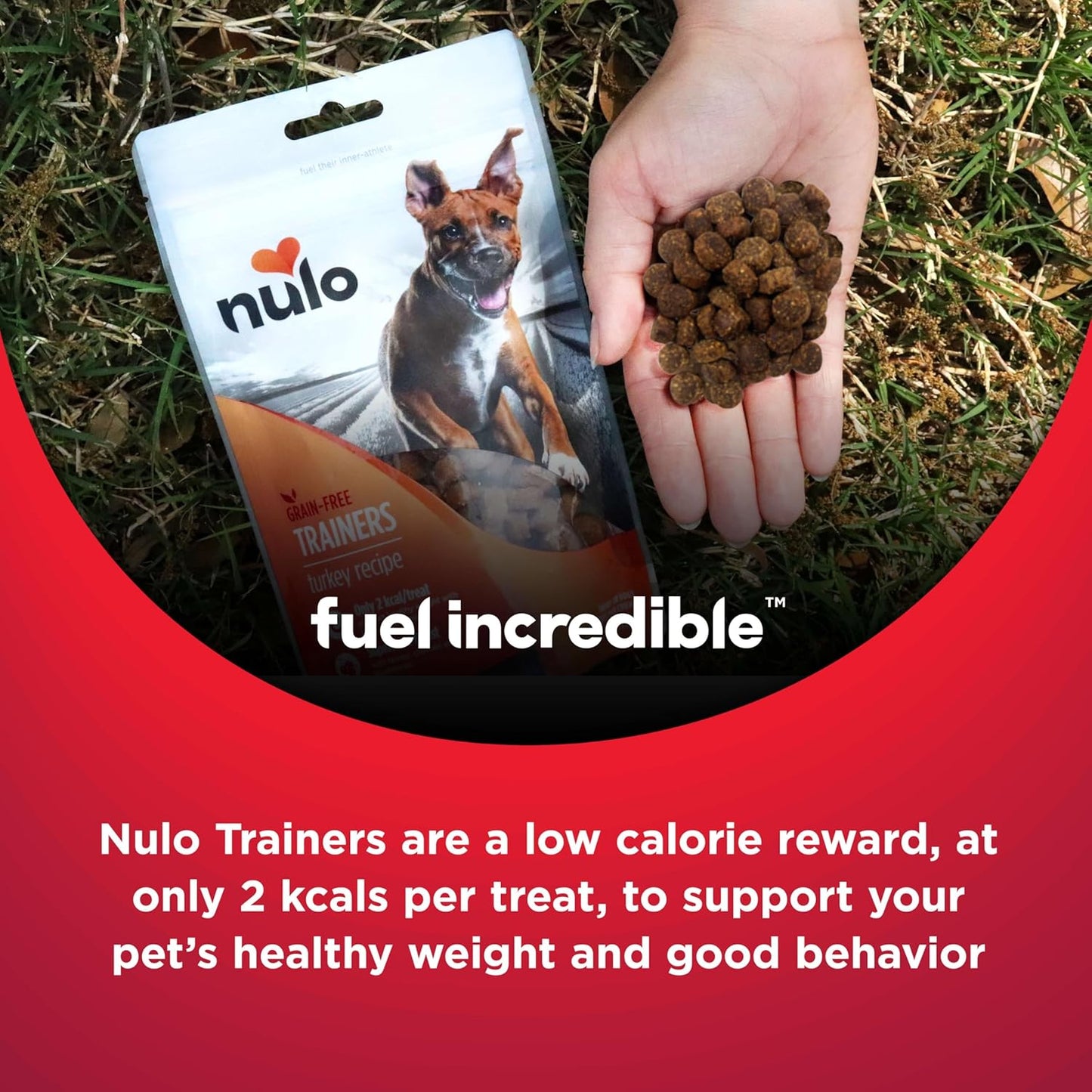 Nulo Grain-Free Natural Duck Dog Treats – 4 oz