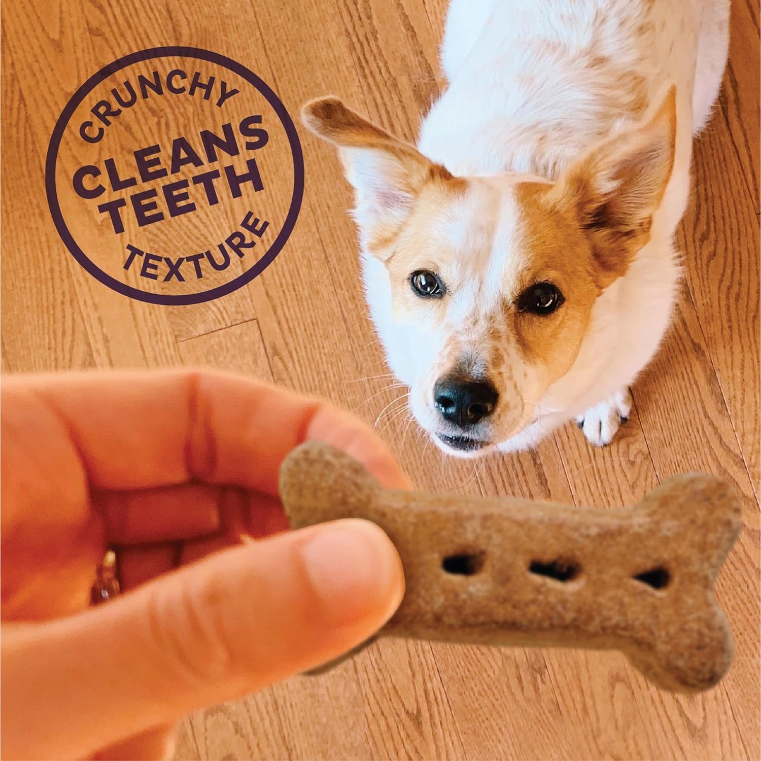 Wellness P-Nuttier Peanut Butter Large Dog Biscuits – 6 lb