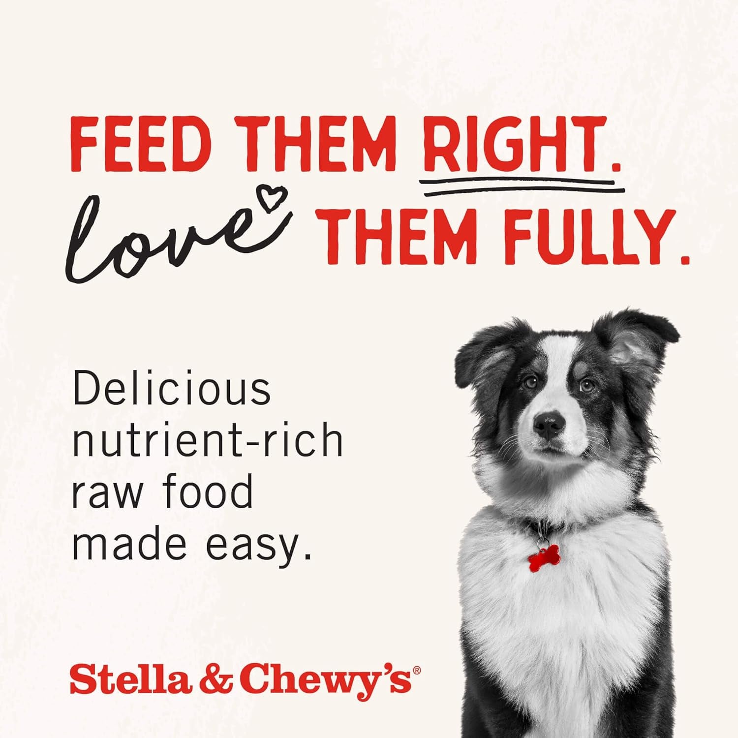 Stella & Chewy’s Freeze-Dried Raw Chicken Breast Dog Treats – 2.75 oz