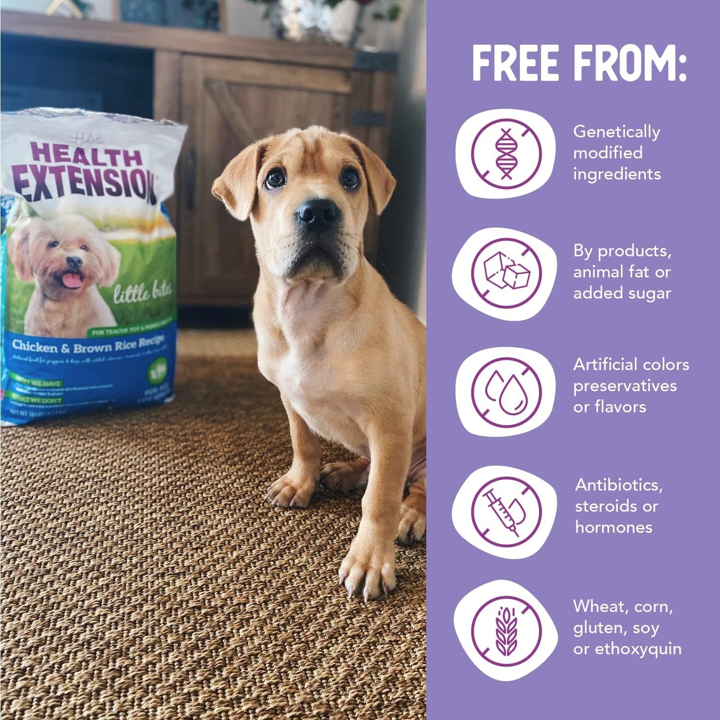 Little Bites Chicken & Brown Rice Dog Food – 10 lb
