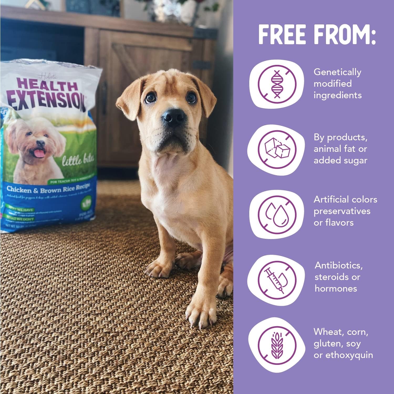 Little Bites Chicken & Brown Rice Dog Food – 10 lb