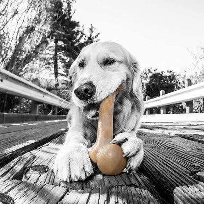 Dino Barkbone – Bacon Chew Toy for Power Chewers