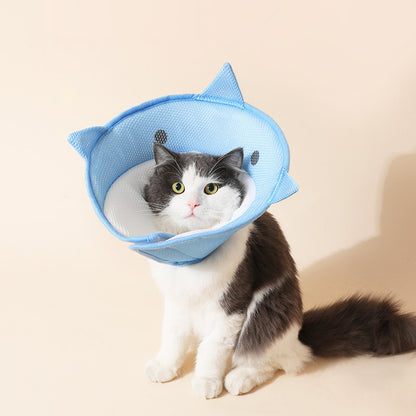 Soft Recovery Collar – Eat & Heal Comfortably