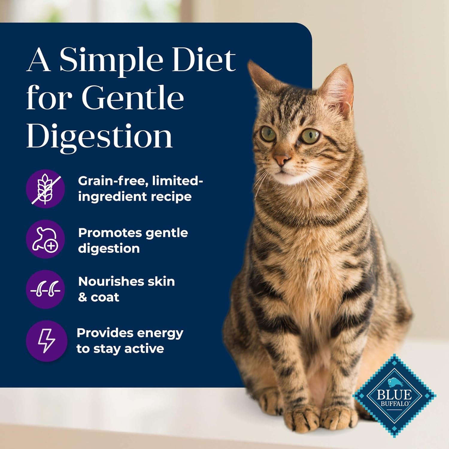Basics Turkey & Potato Grain-Free Indoor Dry Cat Food – 11 lb