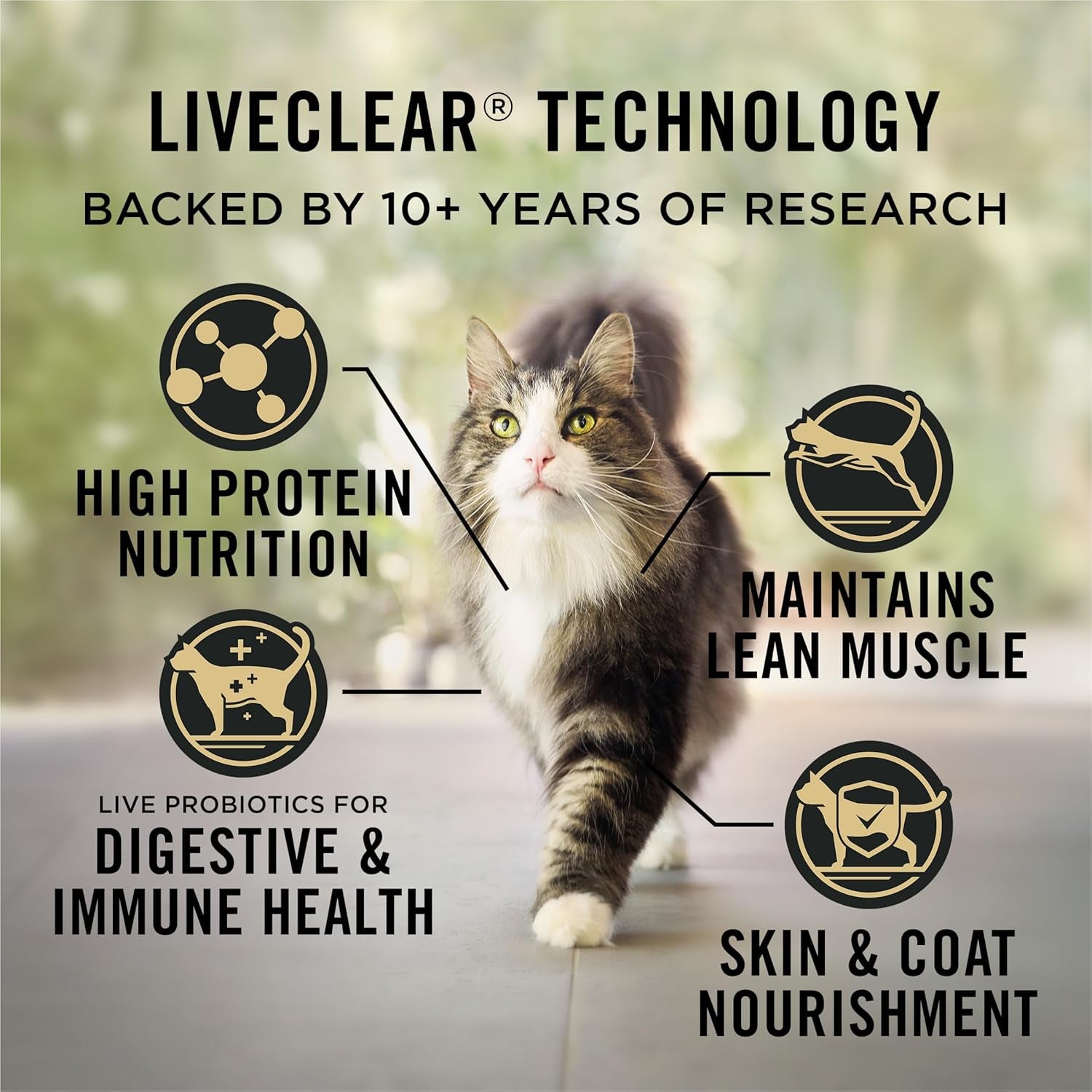 Indoor Turkey & Rice Cat Food Allergen-Reducing Formula – 3.2 lb