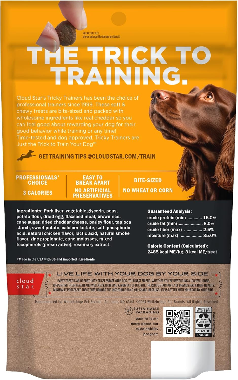 Cloud Star Cheddar Cheese Soft Training Dog Treats – 5 oz