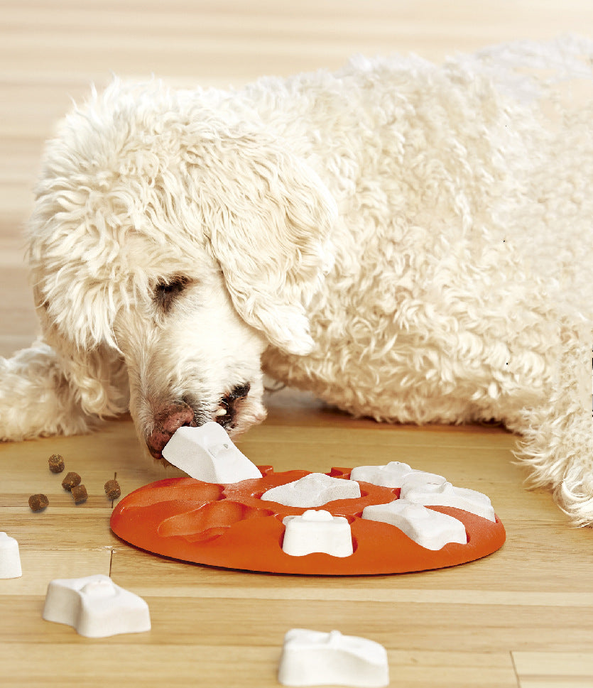  Bone Maze Puzzle – Smart Feeder Toy