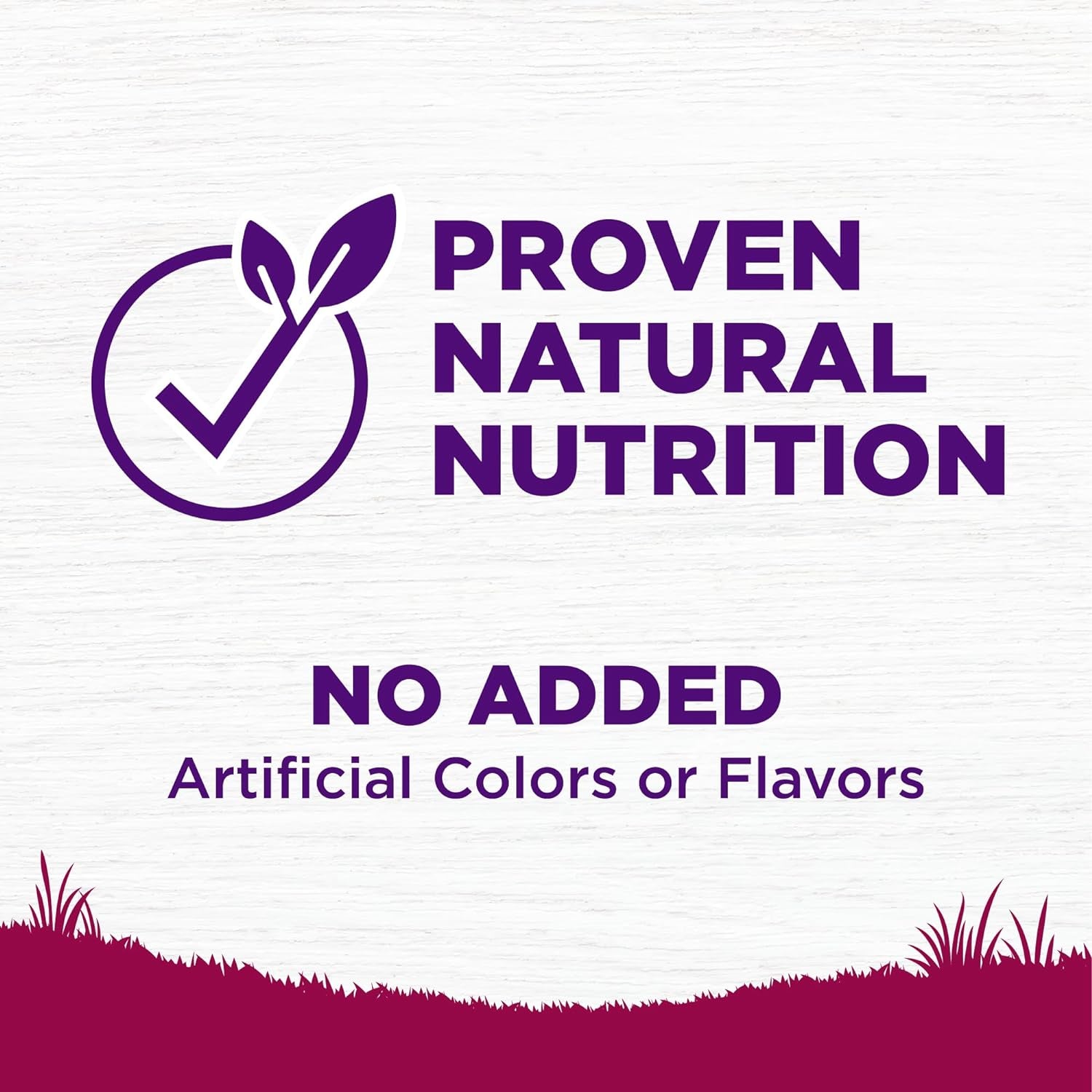Wholesome Puppy Food – Chicken & Salmon (4lb)
