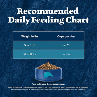 Blue Buffalo Wilderness Natural Duck Dry Cat Food - 11 lb