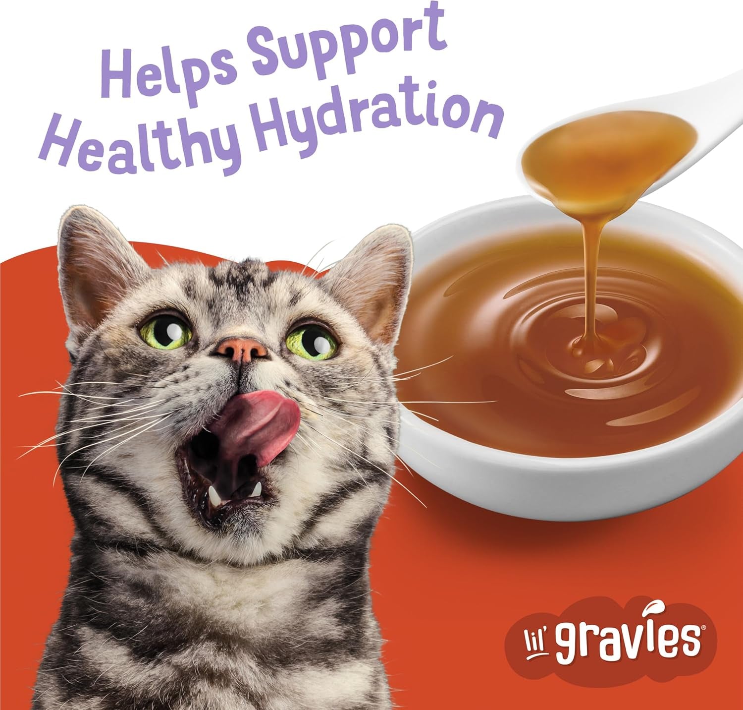 Lil’ Gravies Roasted Turkey Cat Treat Pouches – 1.55 oz x 16 Pack