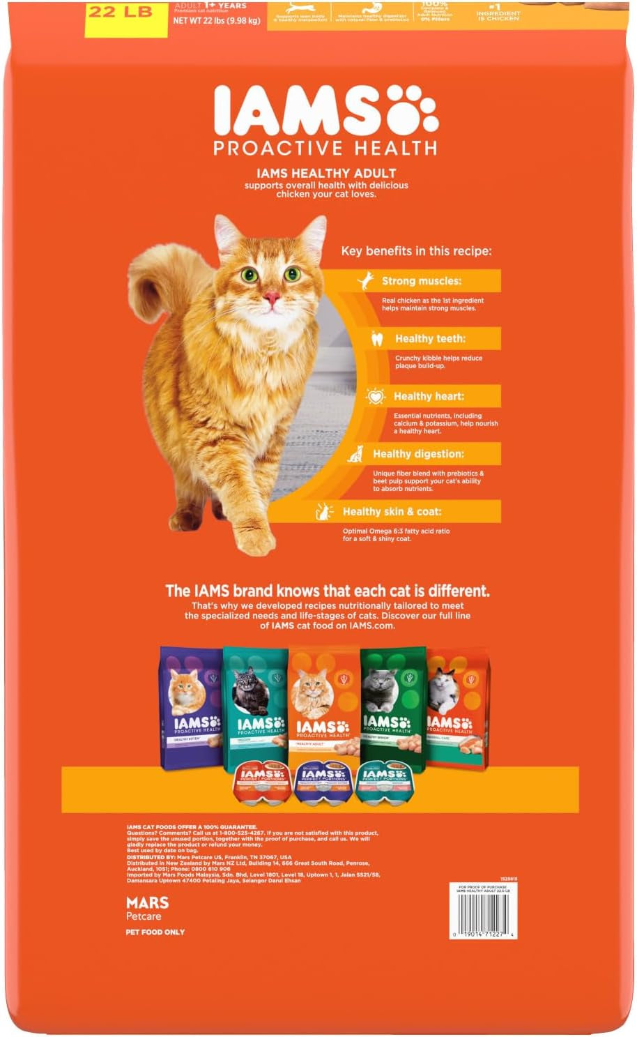 Chicken Adult Dry Cat Food – 22 lb