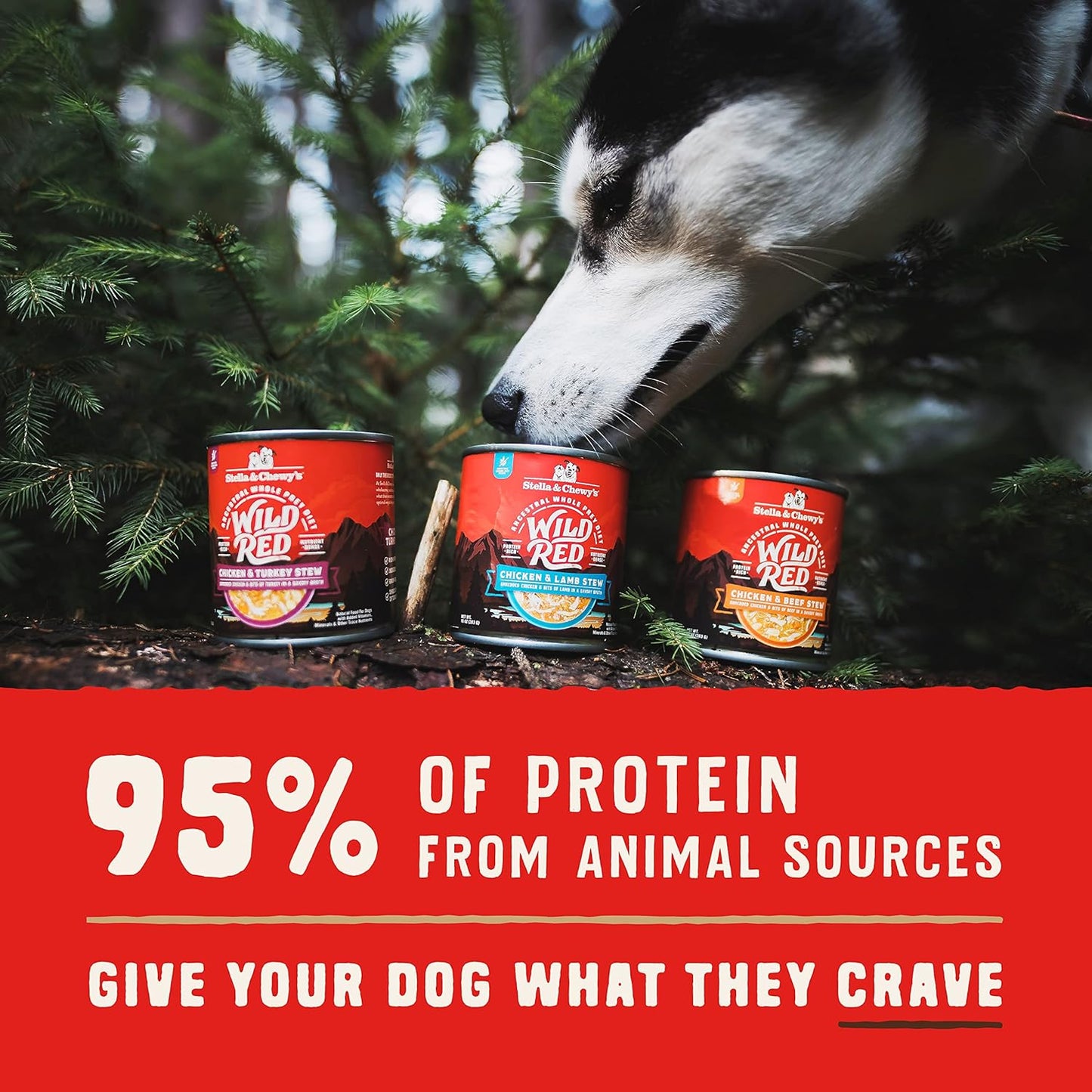 Wild Red Chicken & Turkey Stew Wet Dog Food – 10 oz x 6 Pack