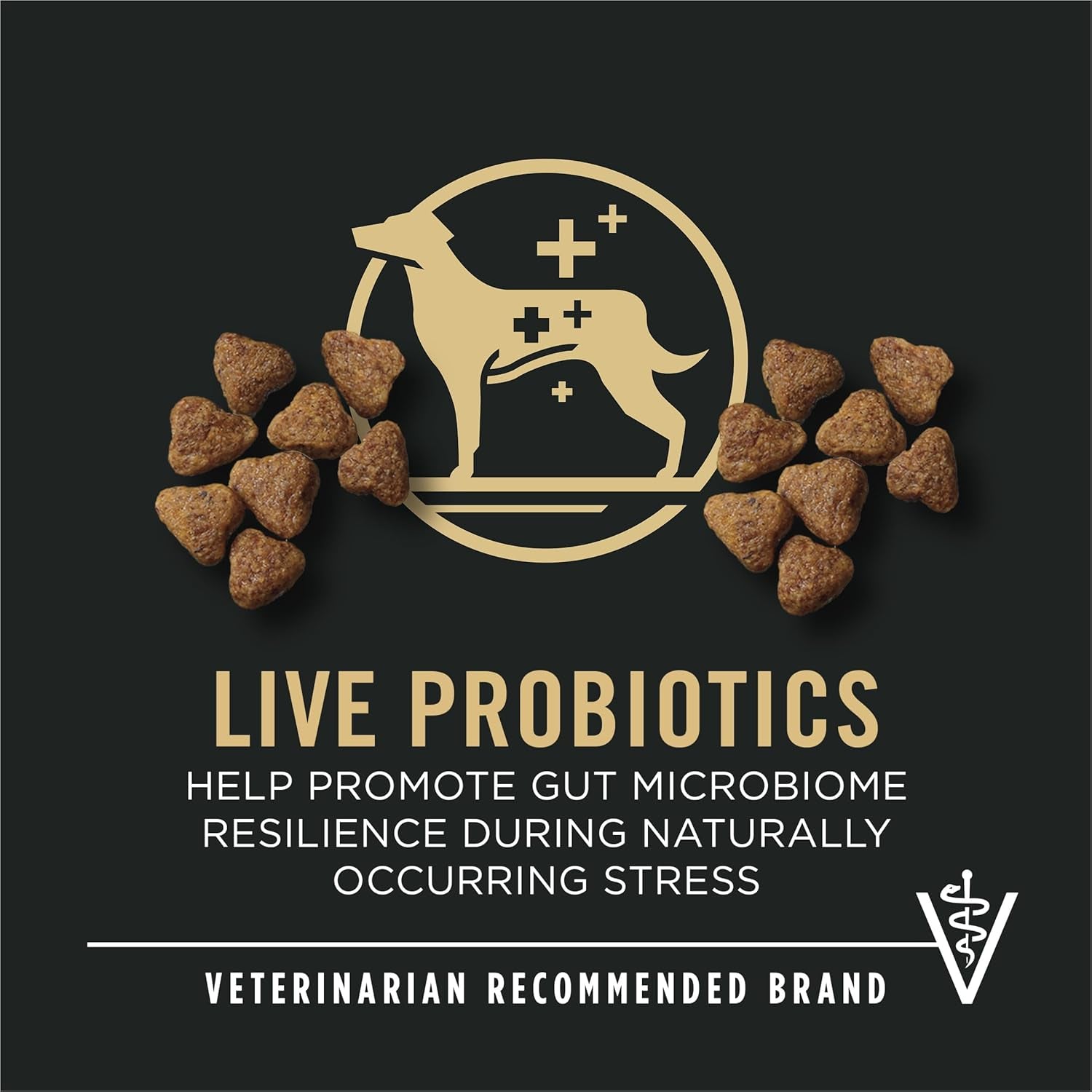 Sport Performance Turkey, Duck & Quail High-Protein Dog Food – 6 lb