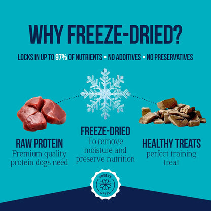 Freeze-Dried Beef Liver Treats – 14 oz
