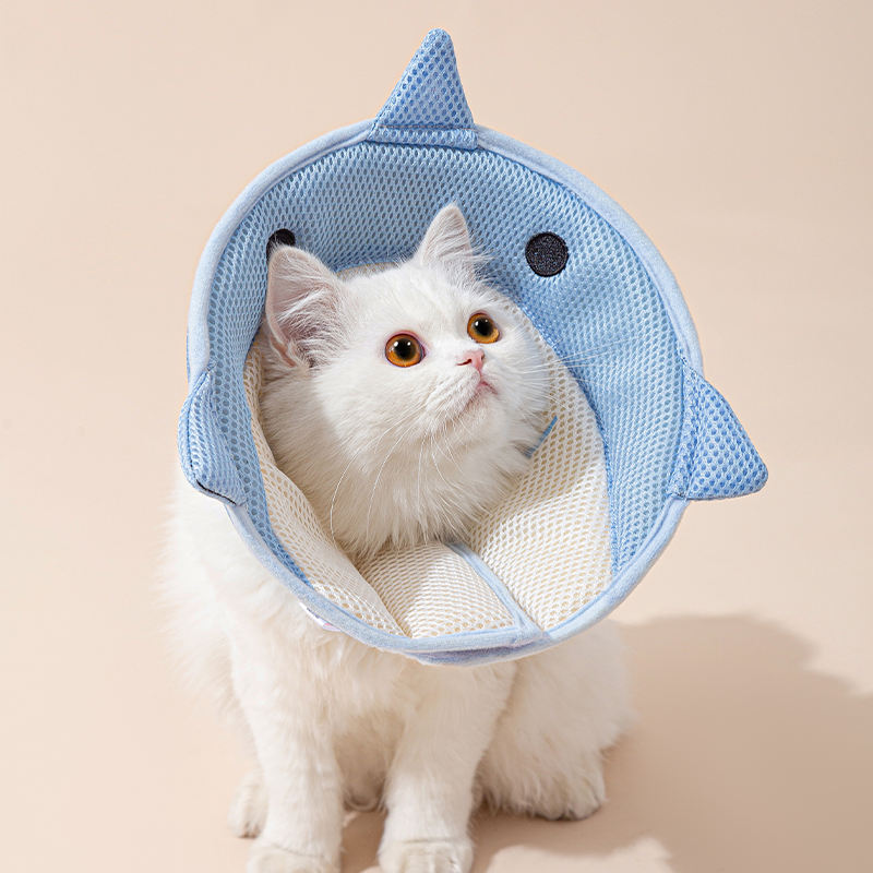Soft Recovery Collar – Eat & Heal Comfortably