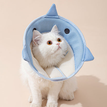 Soft Recovery Collar – Eat & Heal Comfortably
