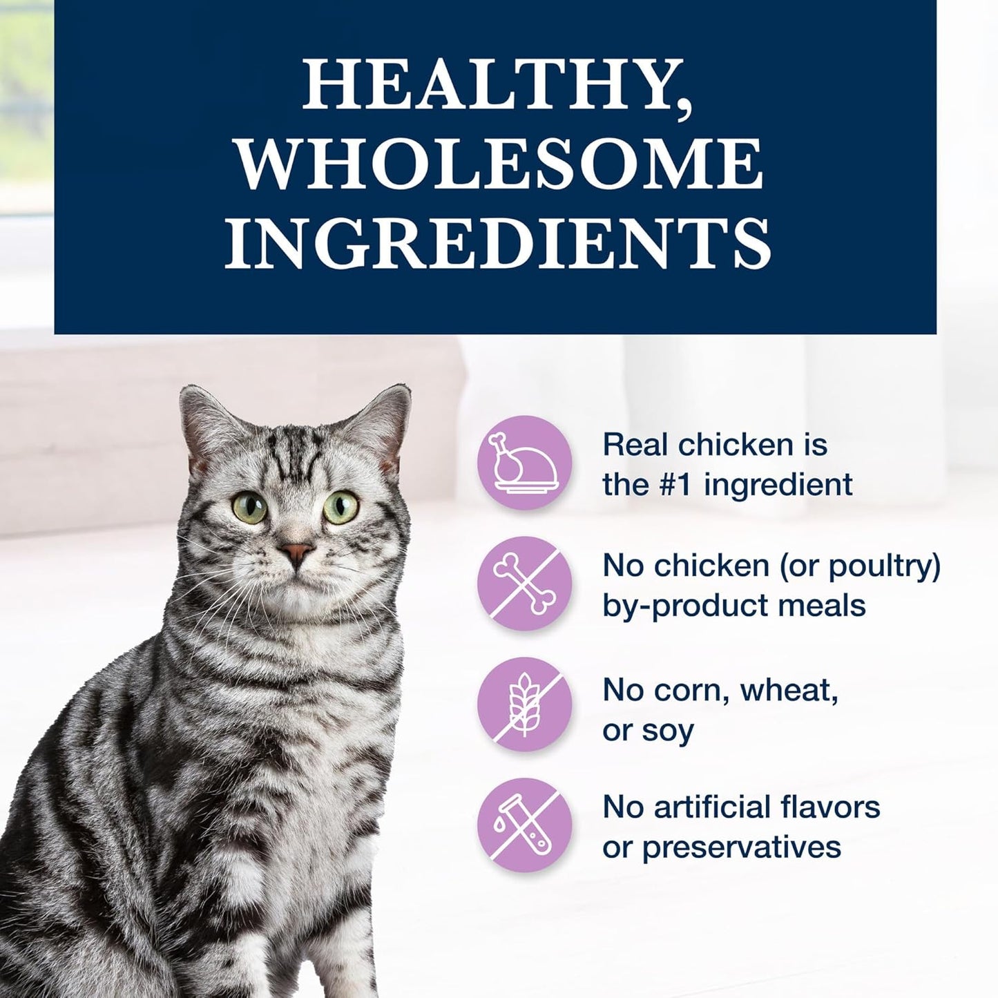 Blue Buffalo Weight Management & Urinary Care Chicken Dry Cat Food - 6.5 lb