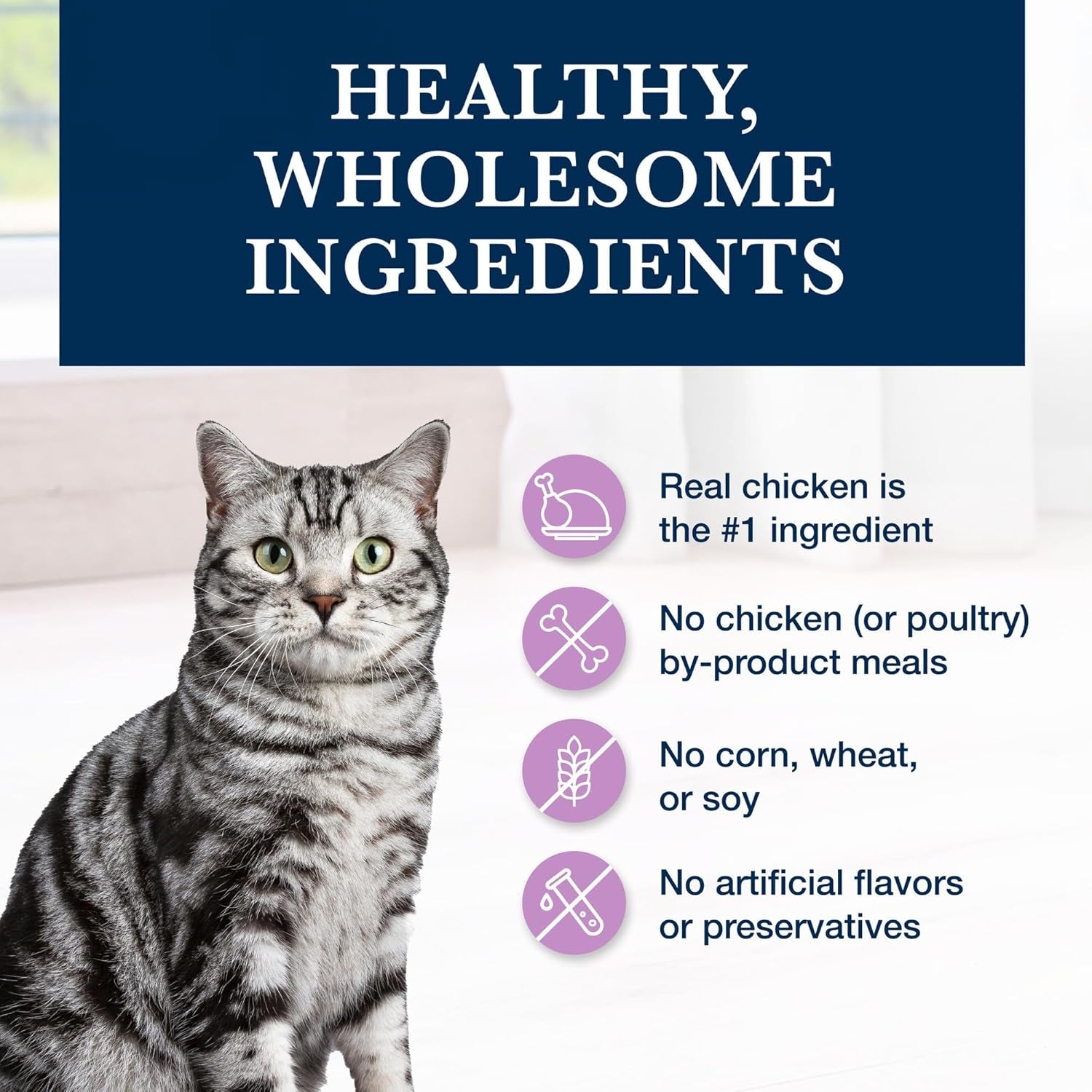 Blue Buffalo Weight Management & Urinary Care Chicken Dry Cat Food - 6.5 lb