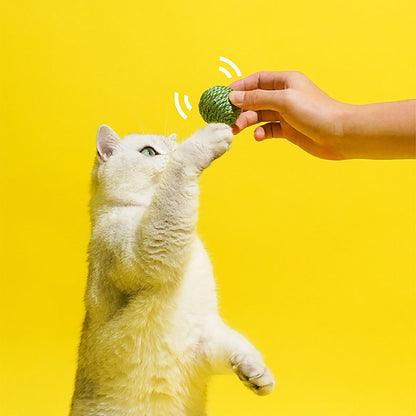 3 in 1 Cat Ball Toy Set – Sisal, Crinkle & Pea Pod