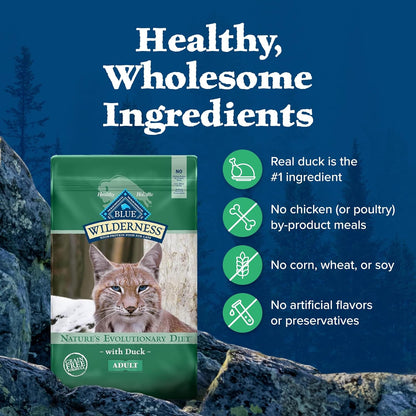 Blue Buffalo Wilderness Natural Duck Dry Cat Food - 11 lb