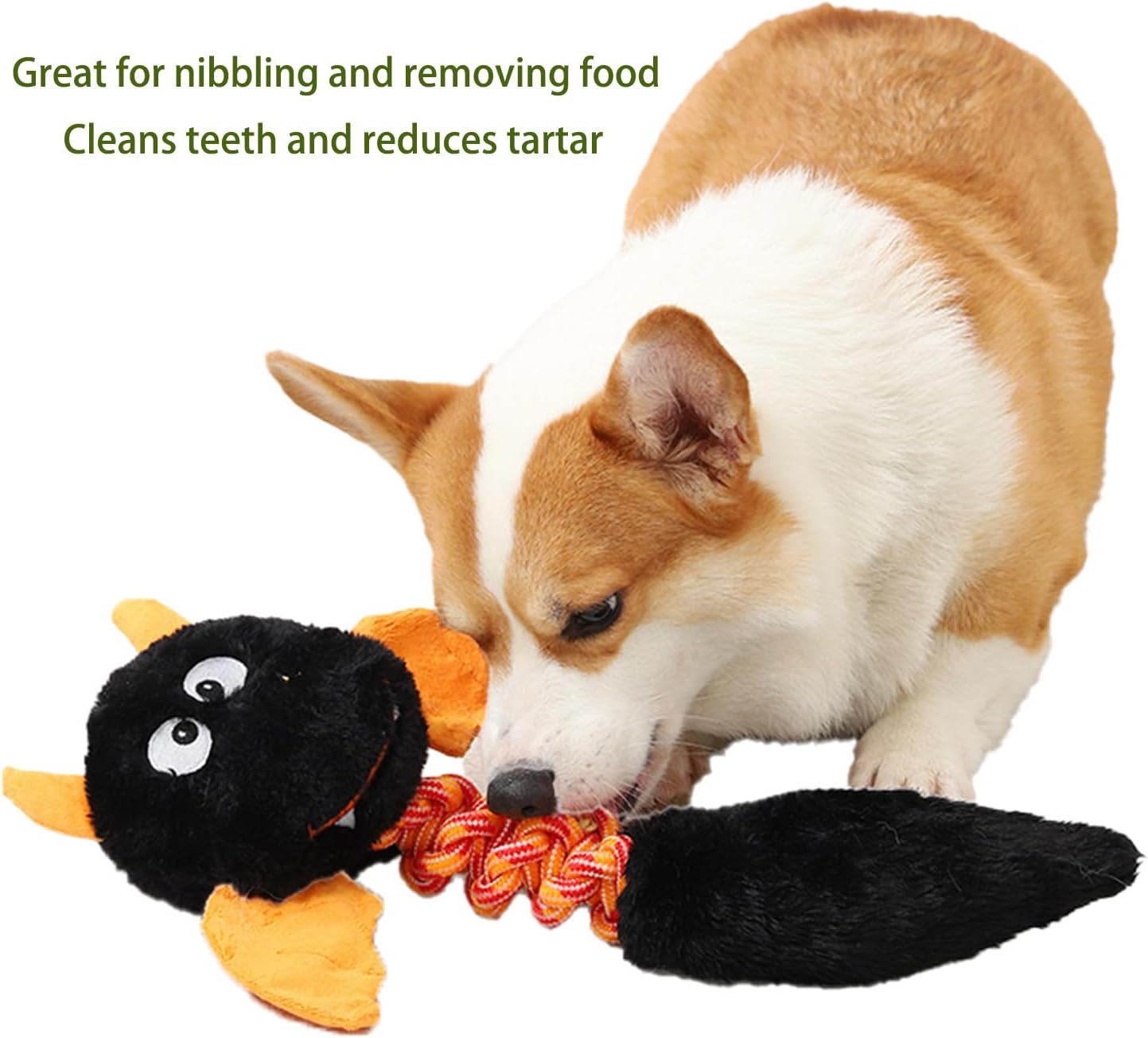 Plush Squeaky Toy – Soft Fun