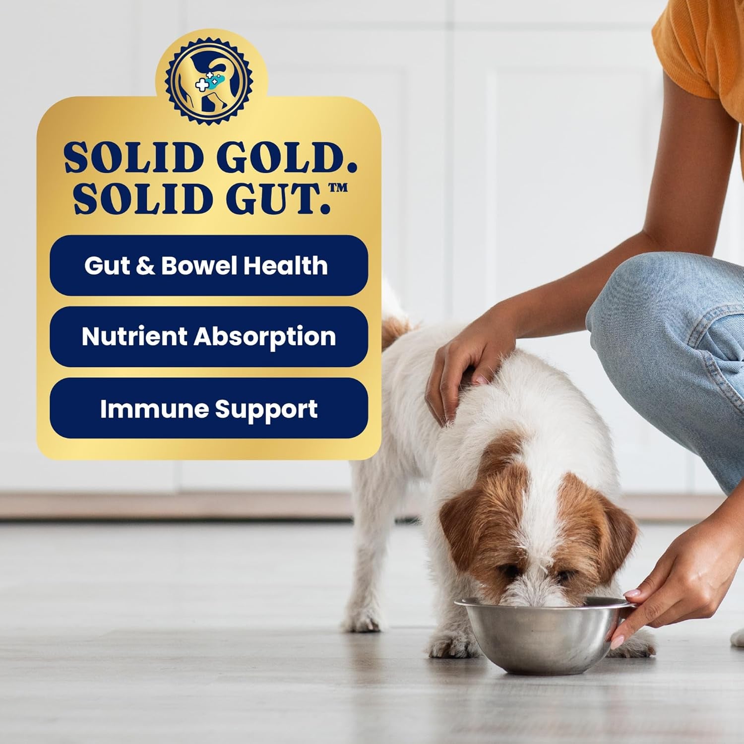 Weight Management Chicken, Sweet Potato & Green Bean Wet Dog Food – 12.5 oz x 6 Pack