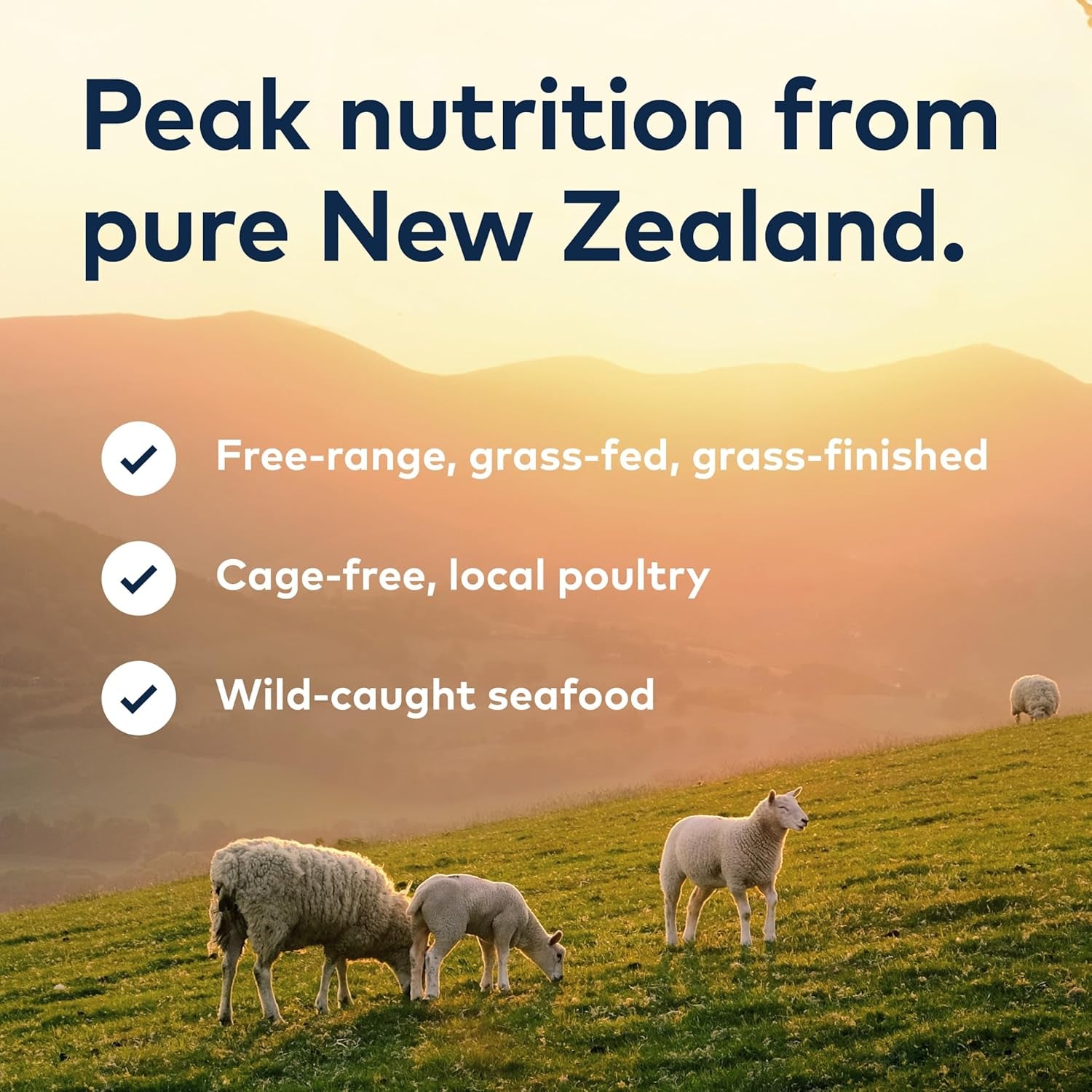 ZIWI Peak High Protein Air-Dried Beef Dog Food – 16 oz