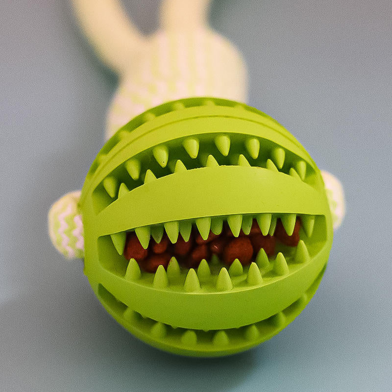 Treat Ball & Chew Rope