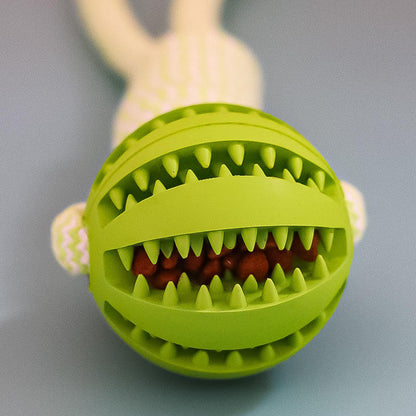 Treat Ball & Chew Rope