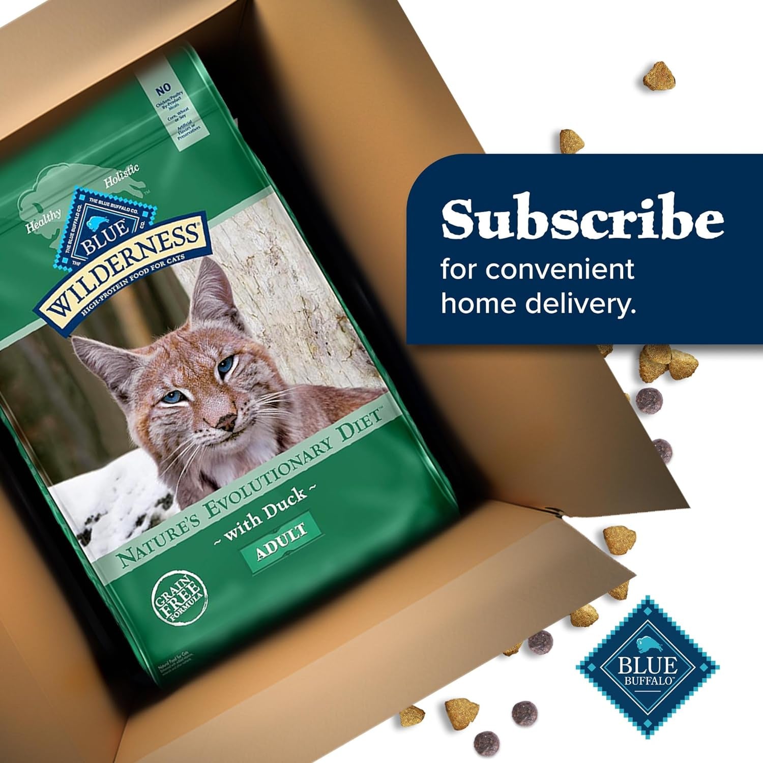 Blue Buffalo Wilderness Natural Duck Dry Cat Food - 11 lb