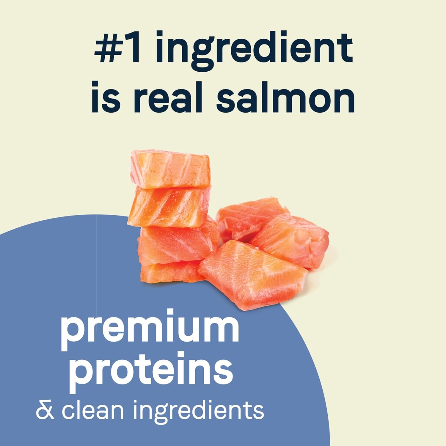 Freeze-Dried Salmon Dog Food – Small Breeds – 4 lb