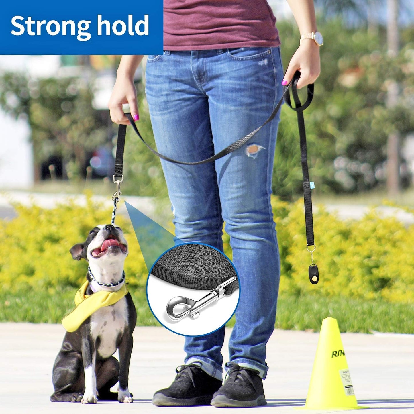 Long Training Leash with Clicker – 30 ft, Purple
