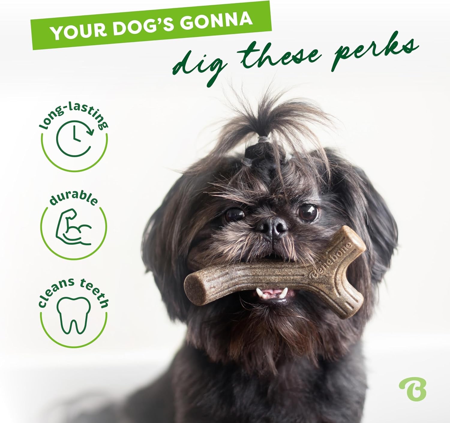 Maplestick Chew Toy – Durable Wood for Aggressive Chewers
