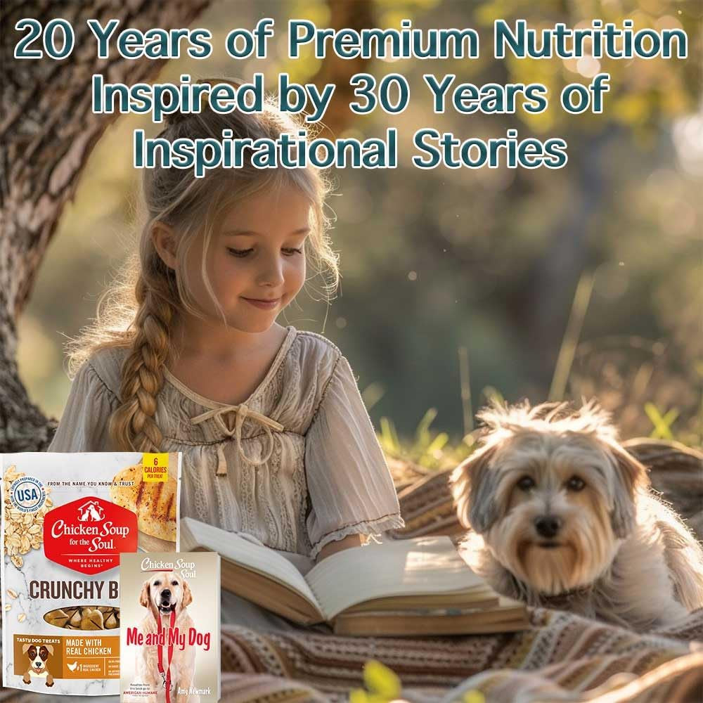 Chicken Soup For The Soul's Chicken Crunchy Dog Treats – 12 oz