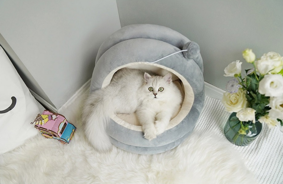 Velvet Pet Nest – 2-in-1 Cozy & Playful Bed