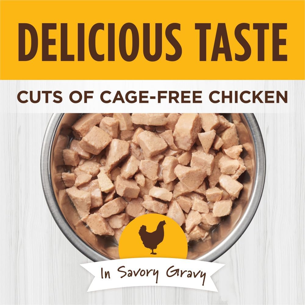Instinct Healthy Cravings Chicken Wet Cat Food – 3 oz (24 Pack)