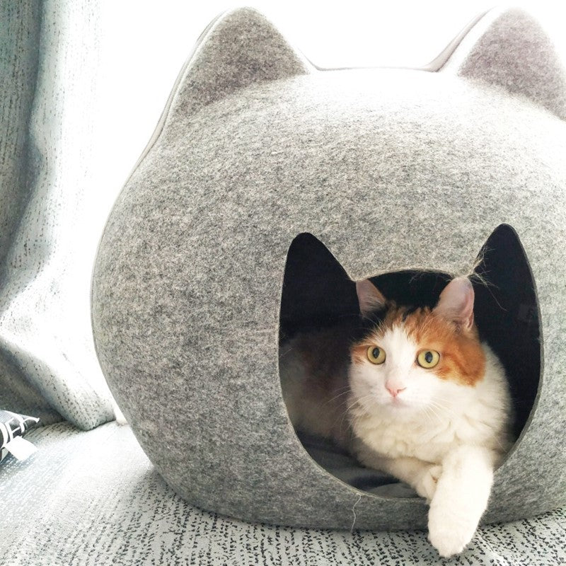 Enclosed Cat House – Litter-Friendly Design