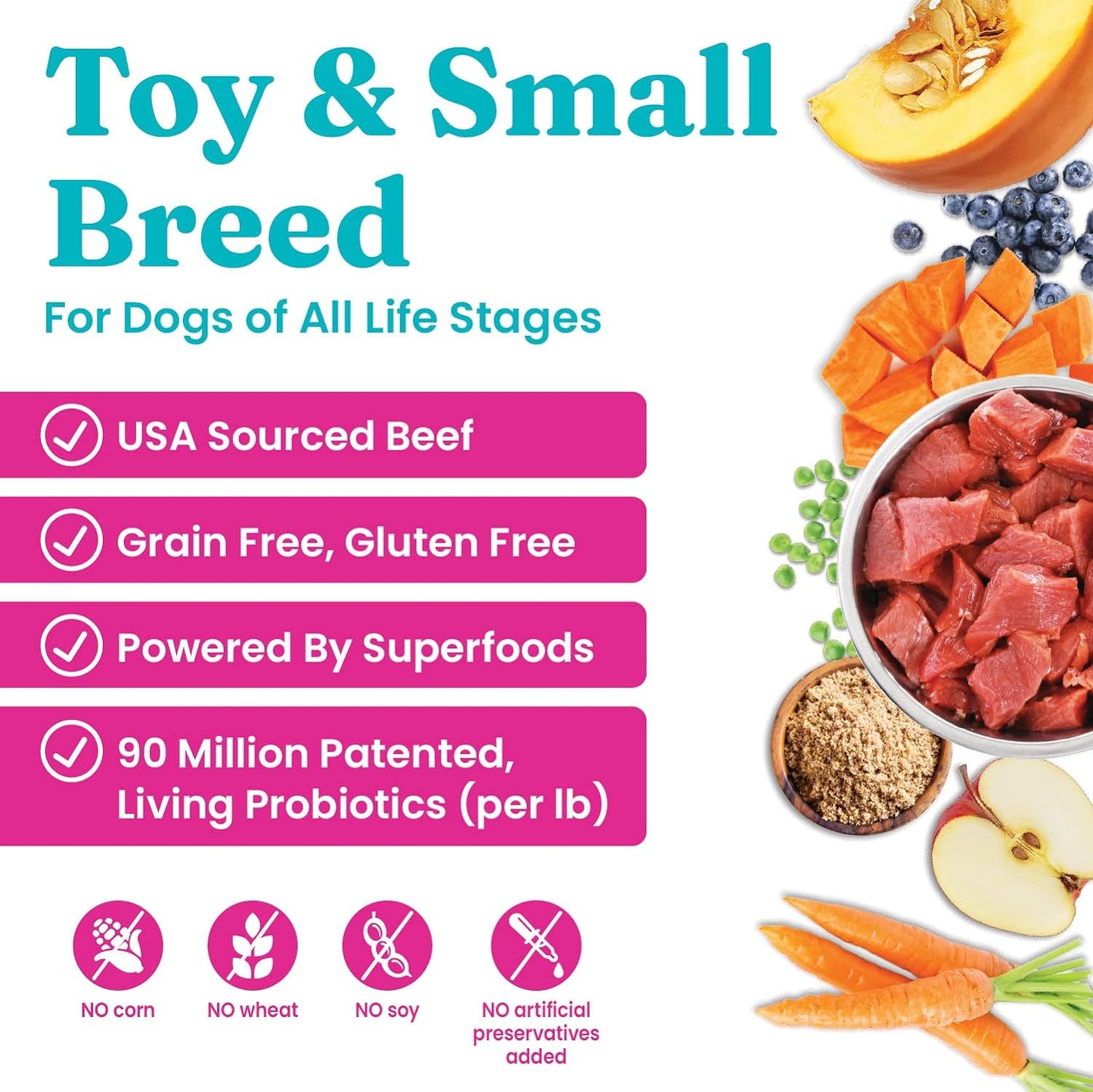 Solid Gold Mighty Mini Beef & Sweet Potato Dry Dog Food – 4 lb